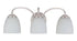 Craftmade Serene 3 Light Vanity Model: 49903-BNK