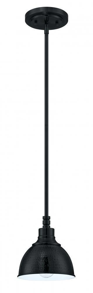 Craftmade Timarron 1 Light Mini Pendant Model: 35991-ABZ