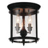 CWI Lighting Desire 3 Light Cage Flush Mount With Oil Rubbed Model: 9809C10-3-109