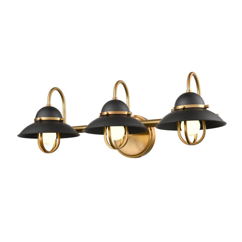 DVI Lighting Peggy's Cove 3 Light Vanity Model: DVP31043MW+VBR