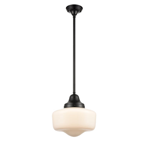 DVI Lighting Schoolhouse Pendant Model: DVP7521EB