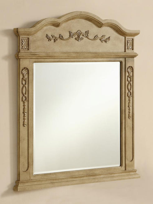 Elegant Decor Danville 32 In. Traditional Mirror In Antique Model: VM3001AB