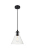 Living District Pendant Model: LD2244C