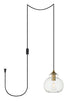 Living District Destry 1 Light Pendant Model: LDPG2245BK