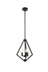 Living District Irina 3 Light Pendant Model: LD7061D14BR