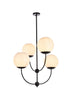 Living District Lennon 4 Light Pendant Model: LD653D30BK