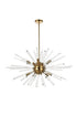 Elegant Lighting Sienna 10 Light Pendant Model: 2502D36BK