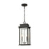 Elk Braddock 2 Light Outdoor Pendant In Model: 45443/2
