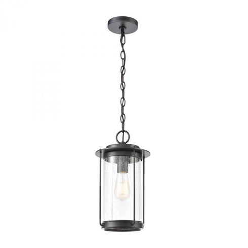 Elk Devonshire 1 Light Hanging In Matte Black Model: 46662/1