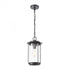 Elk Devonshire 1 Light Hanging In Matte Black Model: 46662/1