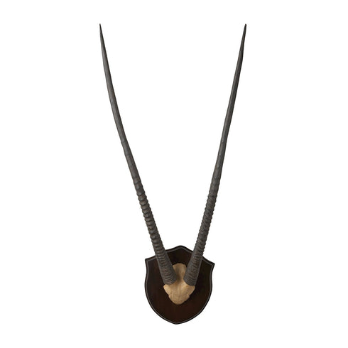 Elk Gazelle Horns Dark Wood Plaque Model: 225027