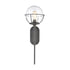 Elk Girard 1 Light Sconce In Charcoal With Clear Model: 57291/1