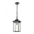 Elk Lamplighter 1 Light Hanging In Matte Black Model: 46703/1