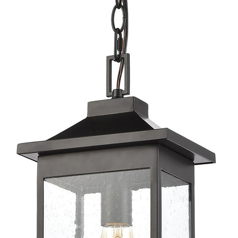 Elk Lamplighter 1 Light Hanging In Matte Black Model: 46703/1