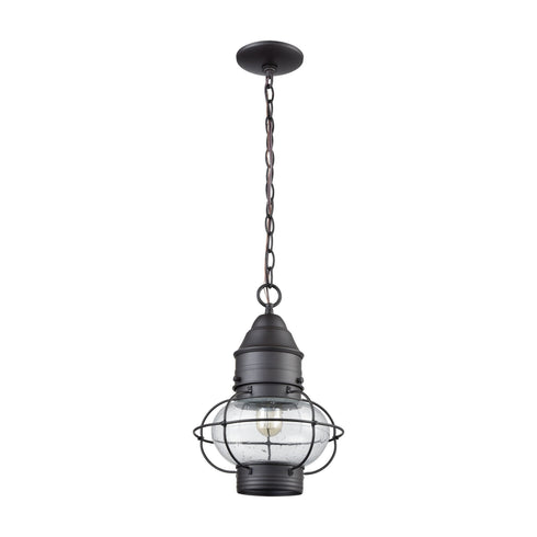 Elk Onion 1 Light Outdoor Pendant In Oil Rubbed Model: 57183/1