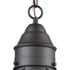 Elk Onion 1 Light Outdoor Pendant In Oil Rubbed Model: 57183/1