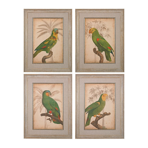 Elk Parrot And Palm I Ii Iii Iv Fine Art Giclee Model: 151-018/S4