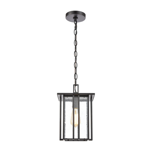 Elk Radnor 1 Light Hanging In Matte Black With Model: 46693/1