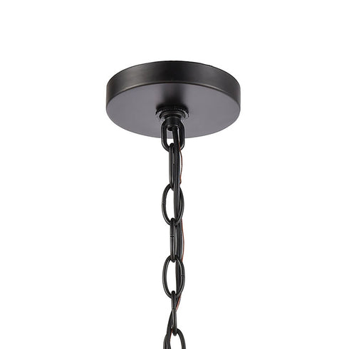 Elk Radnor 1 Light Hanging In Matte Black With Model: 46693/1