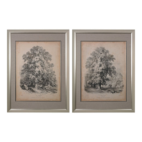 Elk The Elm And The Sycamore Fine Art Giclee Model: 151-011/S2