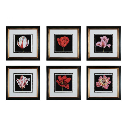 Elk Tulip Profusion Model: 10003-S6
