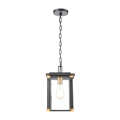 Elk Vincentown 1 Light Hanging In Matte Black Model: 46723/1