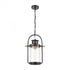 Elk Wexford 1 Light Hanging In Matte Black With Model: 46672/1
