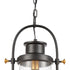 Elk Wexford 1 Light Hanging In Matte Black With Model: 46672/1