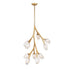 ET2 Blossom Multi Light Pendant Model: E32798-93BK