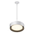 ET2 Echo Single Pendant Model: E51011-WT