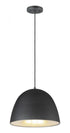 ET2 Fungo Single Pendant Model: E24914-BKSBR
