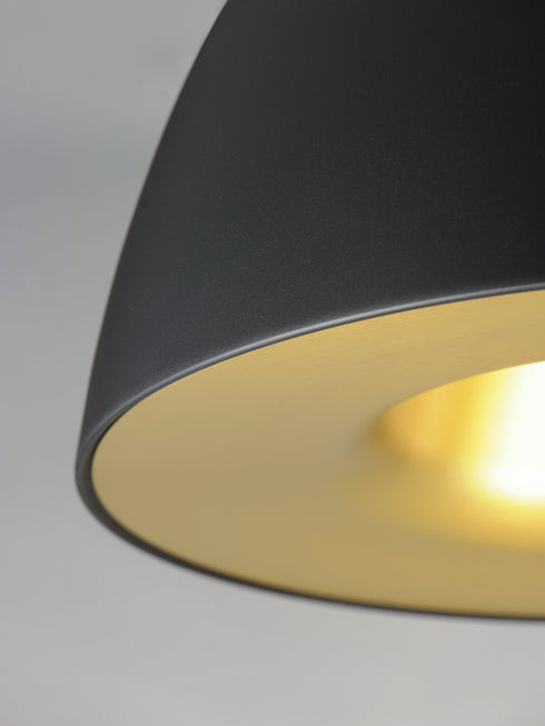 ET2 Fungo Single Pendant Model: E24916-BKSBR