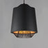 ET2 Phoenix Single Pendant Model: E11392-BKGLD