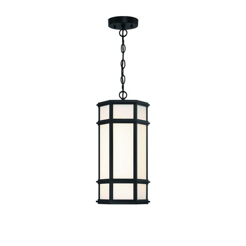 Eurofase Monte 18 Inch Outdoor LED Pendant Model: 42691-013