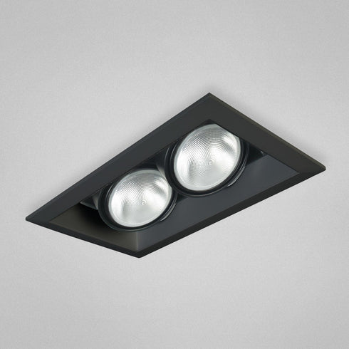Eurofase TE132-01 2 Light Multiple Par30 Black/Black