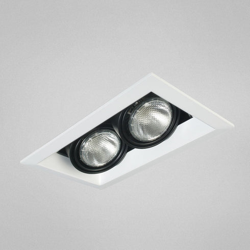 Eurofase TE162-01 2 Light Multiple Par20 Black/Black