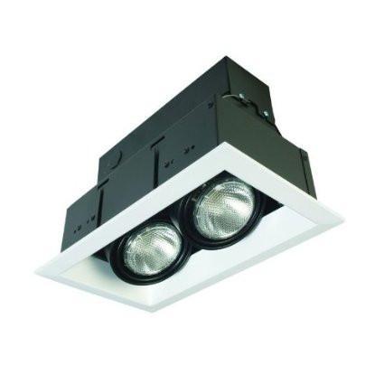 Eurofase TE162-0N 2 Light Multiple Par20 Platinum/Black