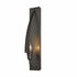 Hubbardton Forge Cirque Sconce Model: 207420-SKT-03