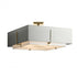 Hubbardton Forge Exos Square Large Double Shade Semi Flush Model: 126513-SKT-85-SF2012-SE2401