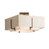 Hubbardton Forge Exos Square Small Double Shade Semi Flush Model: 126507-SKT-05-SA1205-SJ1605
