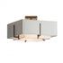 Hubbardton Forge Exos Square Small Double Shade Semi Flush Model: 126507-SKT-05-SA1205-SJ1605