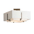 Hubbardton Forge Exos Square Small Double Shade Semi Flush Model: 126507-SKT-10-SA1205-SF1605