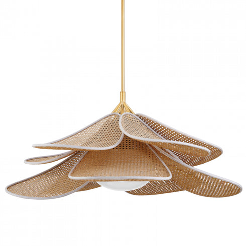 Hudson Valley 1 Light Pendant Model: 3144-AGB