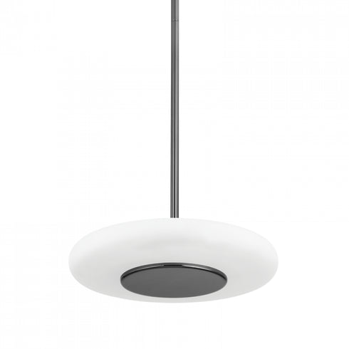 Hudson Valley 1 Light Pendant Model: PI1896701S-AGB
