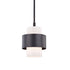 Hudson Valley Corinth 1 Light Small Pendant Model: 8611-PN