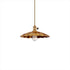 Hudson Valley Heirloom 1 Light Pendant Model: 9001-AGB-MS3