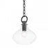Hudson Valley Lina 1 Light Small Pendant Model: BKO252-AGB