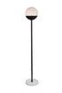 Living District Floor Lamp Model: LD6148C