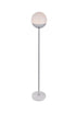 Living District Floor Lamp Model: LD6148C