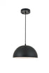 Living District Forte 1 Light Pendant Model: LD4022D12BK